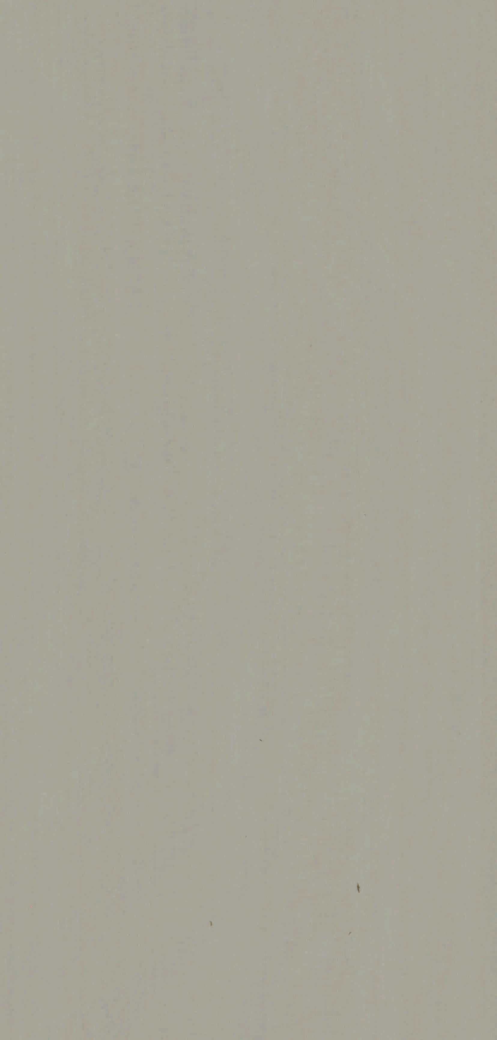 9DT33-尼斯-1