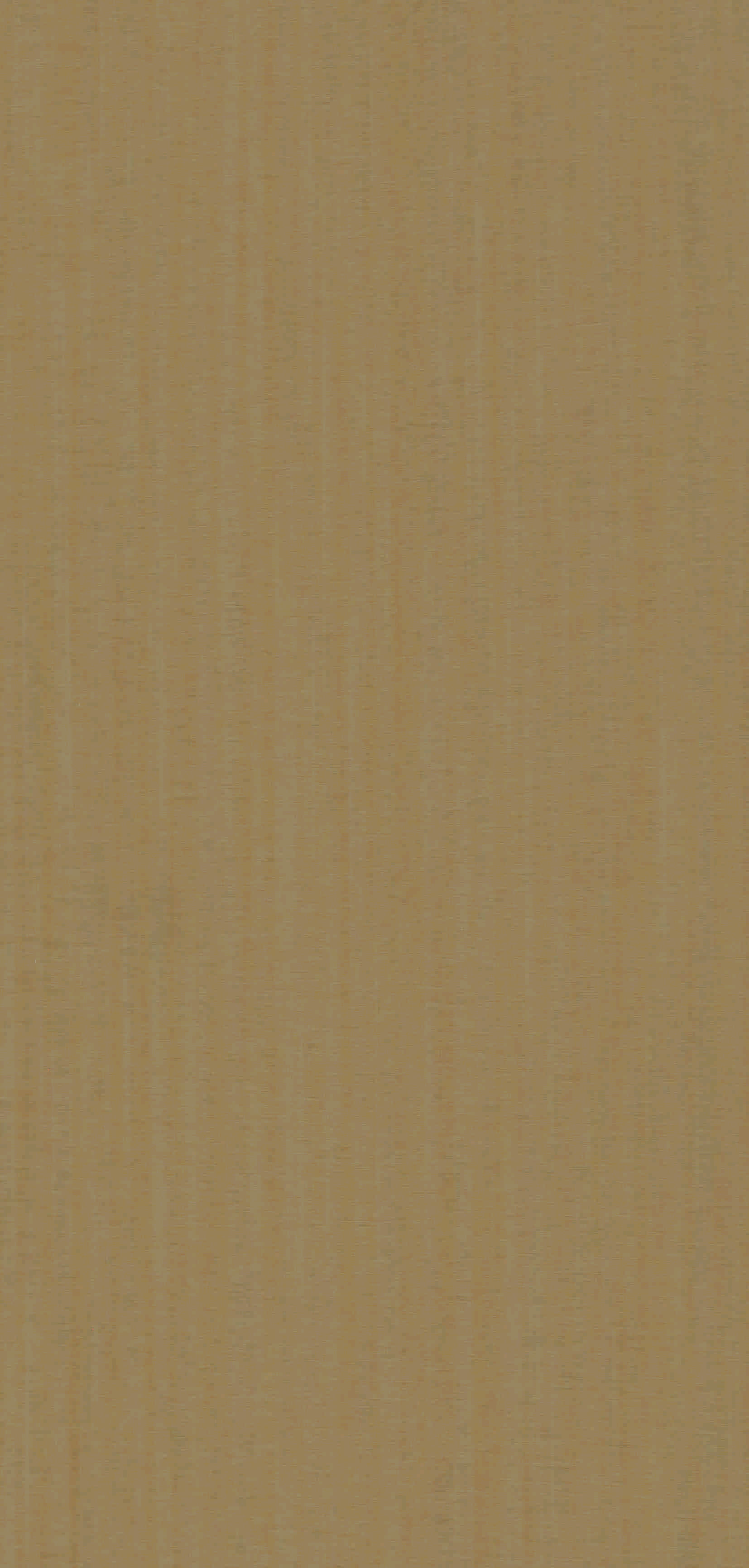 9DT36-尼斯-3