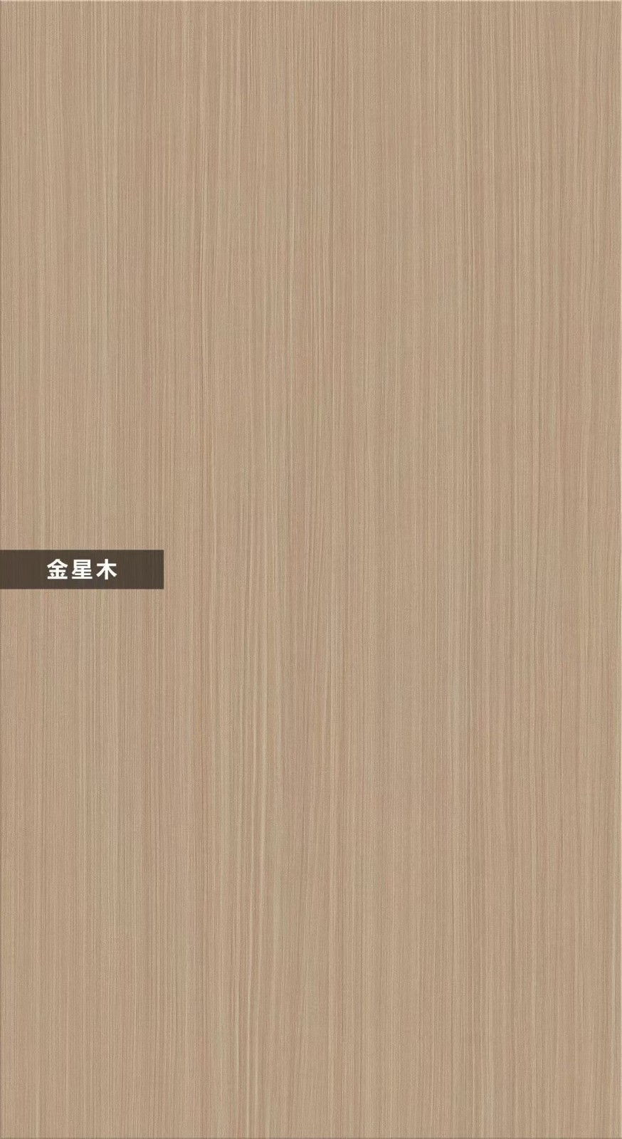 T21-金星木