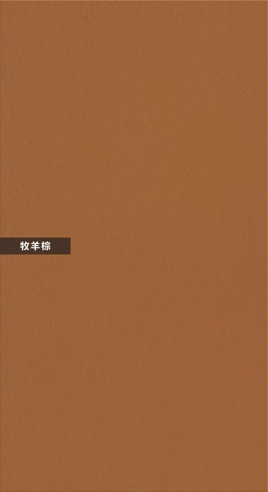 F-A509-牧羊棕